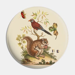 Squirrel and Bird Colorful Wildlife Illustration Pin