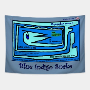 Blue Indigo Snake Tapestry