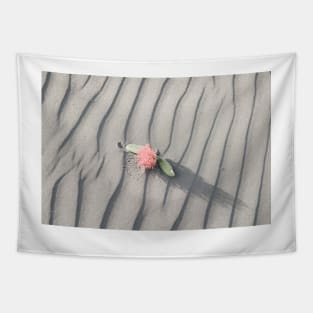 pohutukawa flower on grey wind rippled sand Tapestry