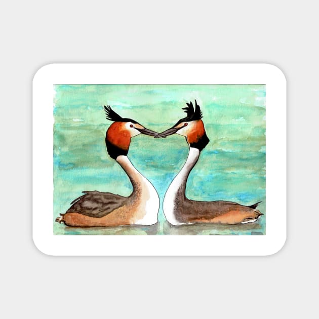 Great crested grebes in love Magnet by HandLu