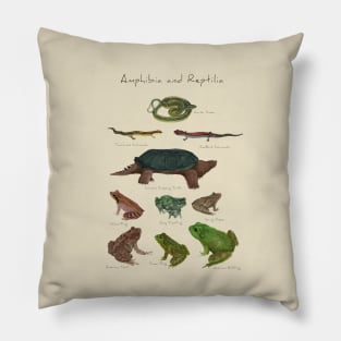 Amphibians and Reptiles Pillow