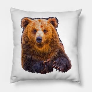 bear - hulk Pillow