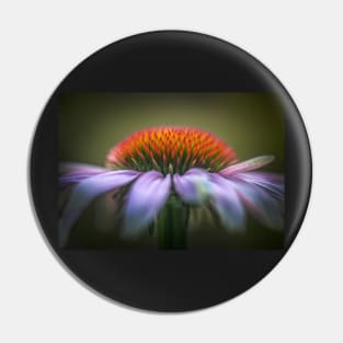 Echinacea flower close-up Pin