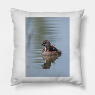 Pied-billed Grebe Pillow