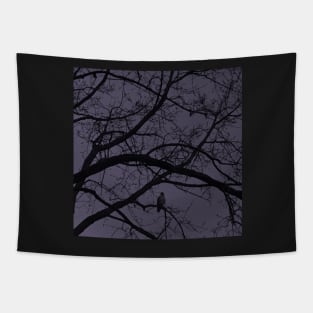 Nightfall Tapestry