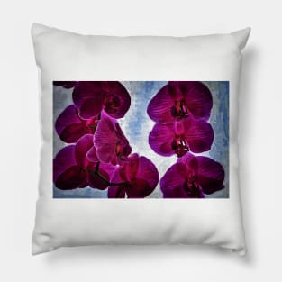 Back Lit Orchids Pillow