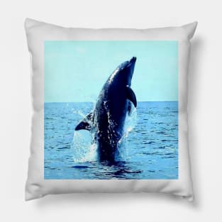 Cute Dolphin Pillow