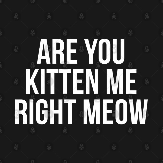Are You Kitten Me Right Meow by TIHONA