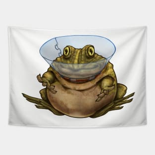 Surgery Frog Tapestry