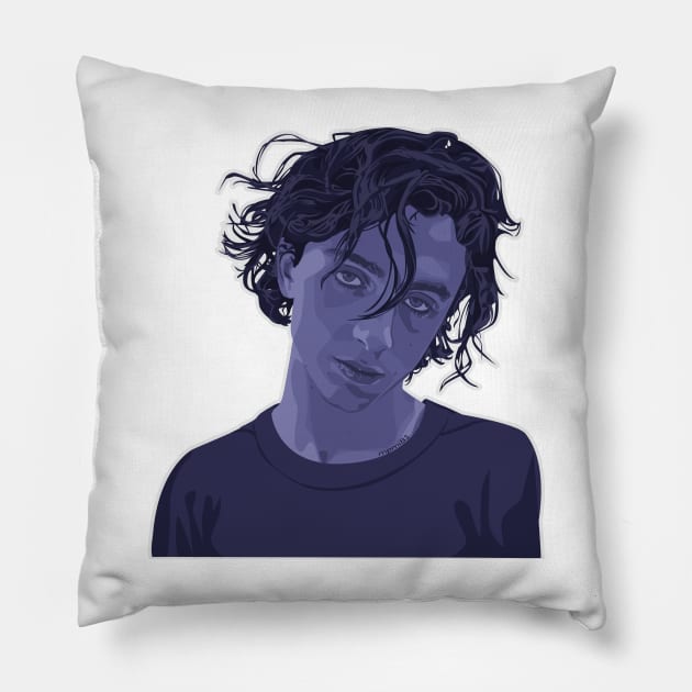 Timothee Chalamet Pillow by mpmi0801