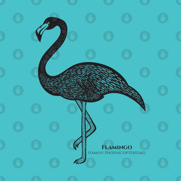 Flamingo with Common and Scientific Names - detailed bird design by Green Paladin