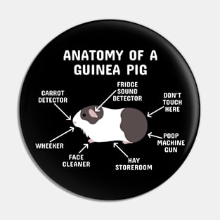 Anatomy of a Guinea Pig: Brown and White Pin