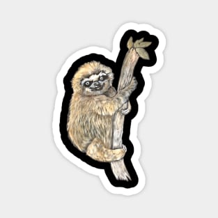 Adorable Sloth Magnet