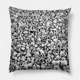 Sea Shells on the sea shore Pillow
