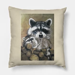 Bandit Pillow