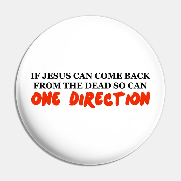 IF JESUS CAN COME BACK FROM THE DEAD SO CAN ONE DIRECTION Pin by EmandEmHandmade