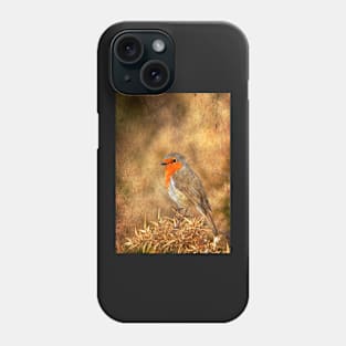 Portrait Of A Robin Phone Case