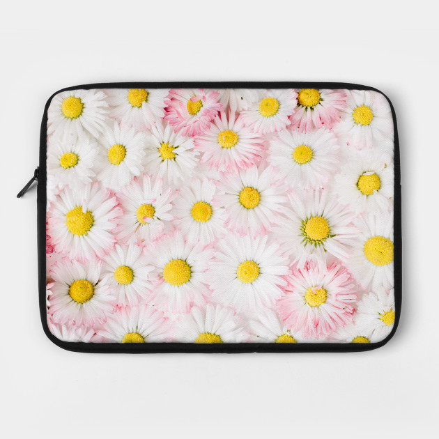 Daisy Flowers