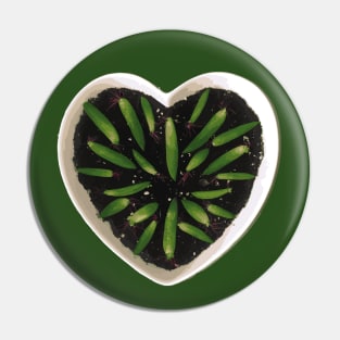 Succulent Propagating Heart Pin