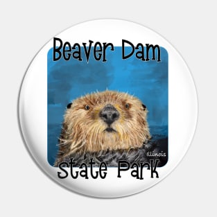 Beaver Dam State Park, Illinois Pin