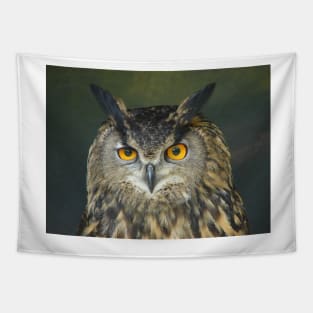 European Eagle Owl Tapestry