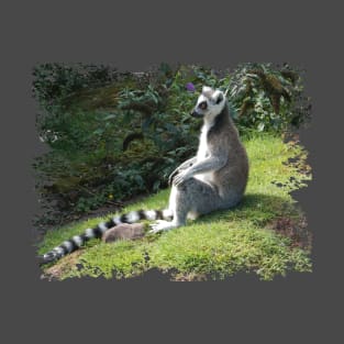 Lemur T-Shirt