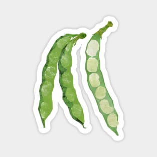 Broad beans (fava) Magnet