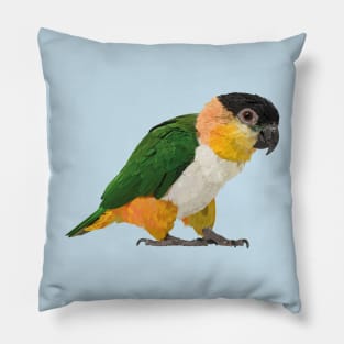 black headed caique Pillow