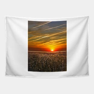 Sunrise over seedheads Tapestry