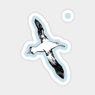 Lone Wandering Albatross Magnet