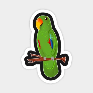 Ekkie Cute green Eclectus Parrot for parrot lovers Magnet