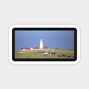 Cape Willoughby Lighthouse Magnet