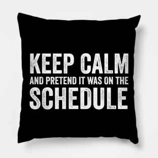 Keep Calm and Pretend It's on the Schedule shirt, Vetmed shirt, Work Life Pillow