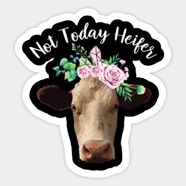 Not today heifer t shirt ,funny farmer