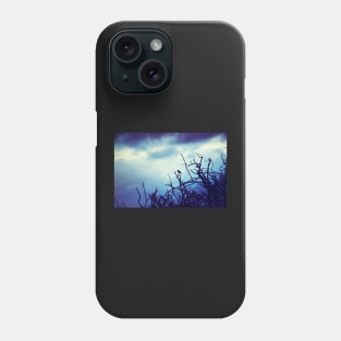 Guardian of the Shadows Phone Case