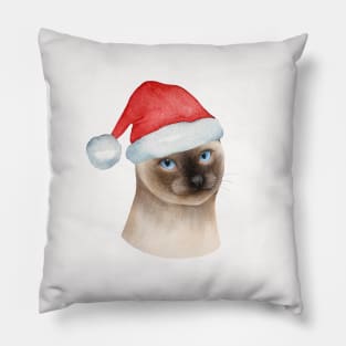 Cute And Lovely Animals With Christmas Pillow