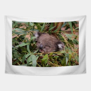 Hazel Amongst The Gum Leaves Tapestry