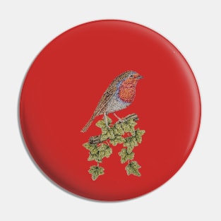 bird illustration of ivy leafs and cute robin Pin