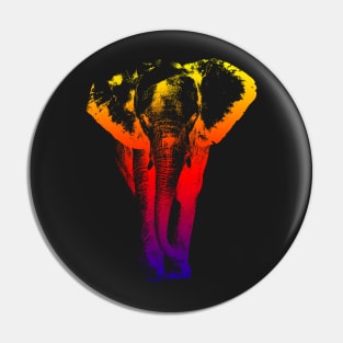 colored elephant Pin