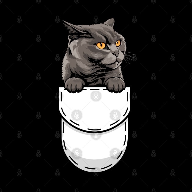 Funny British Shorthair Pocket Cat by Pet My Dog