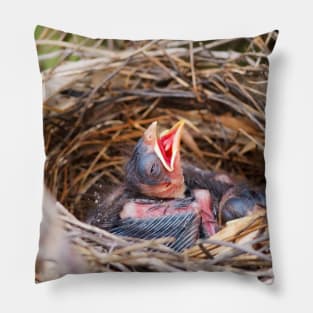 Baby Northern Cardinal In Its Nest Pillow