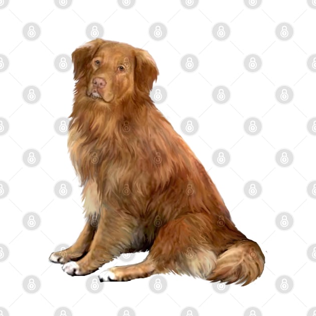 Nova Scotia Duck Tolling Retriever - just the dog by Dogs Galore and More