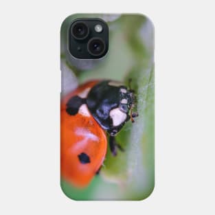 A Happy Little Ladybug, Macro Photograph Phone Case