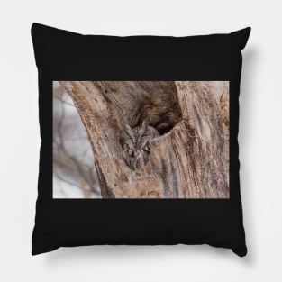 Eastern Screech Owl Pillow