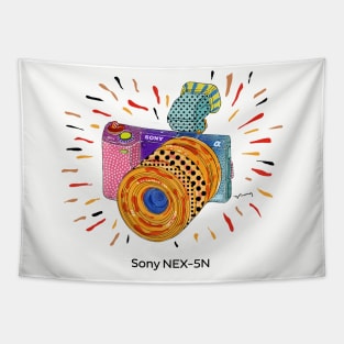 2010 Sony NEX-5N Tapestry