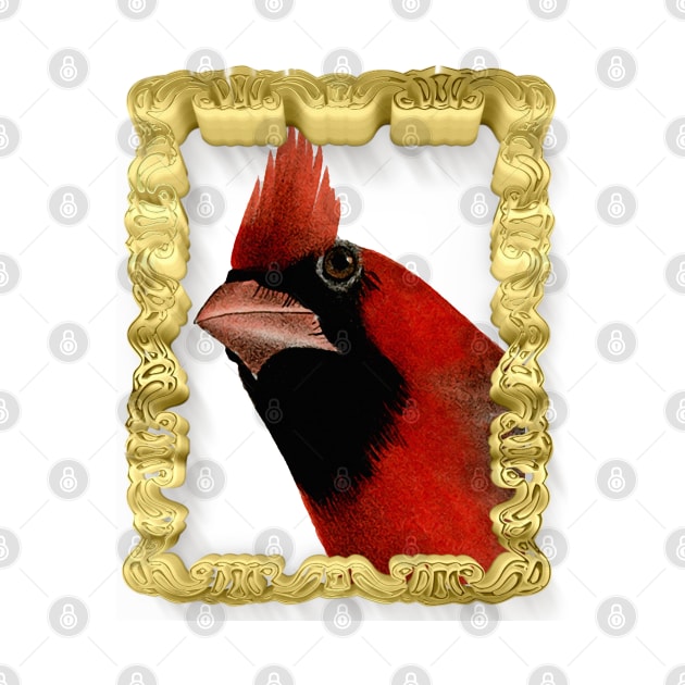 Cardinal Bird In A Gold Frame by DankFutura