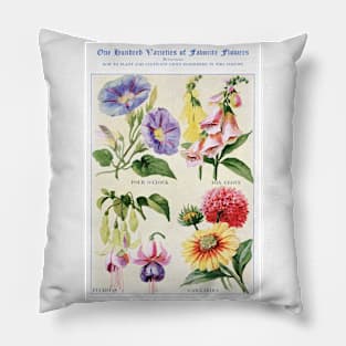 Flower watercolor illustration (1915) Pillow