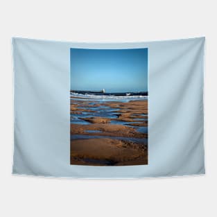 February on the beach Tapestry