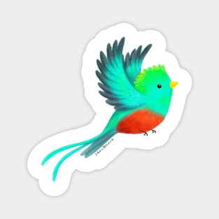 Quetzal bird Magnet