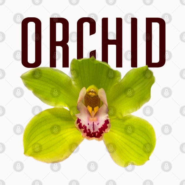 Green Orchid with Text by ArtMorfic